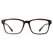 VDV Lentes BASIC 2019 Brow / Clear
